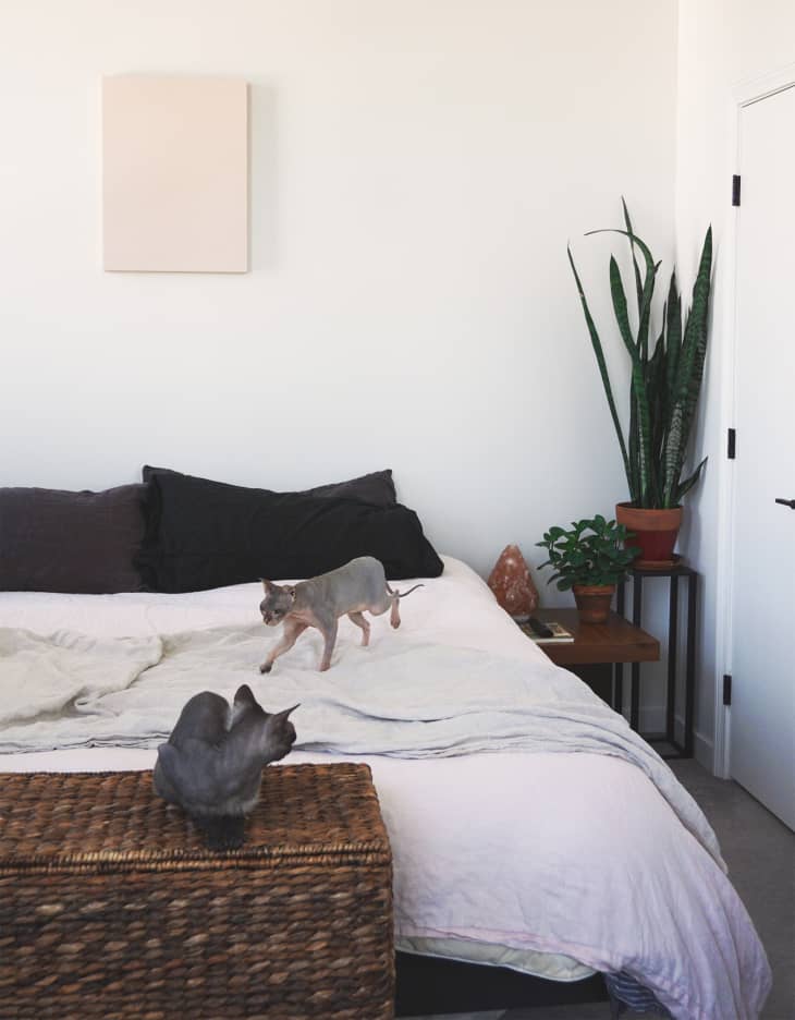 White bedroom store walls black furniture